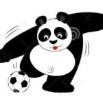 xiongmao的头像-大神吧